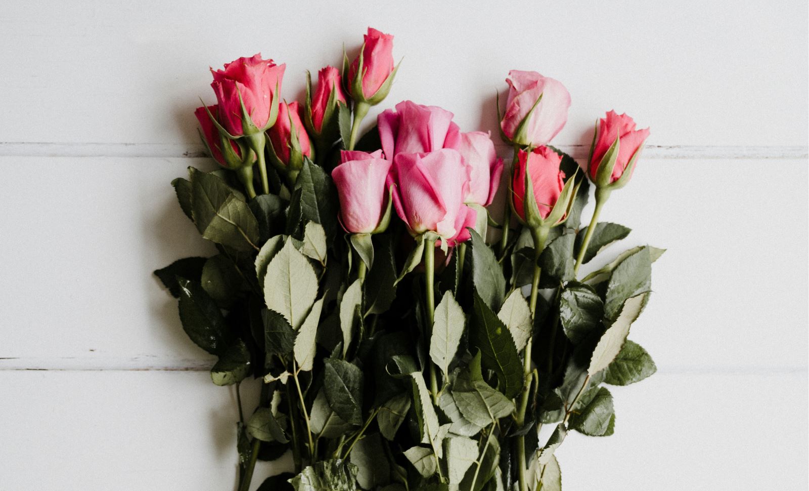 Bunch of pink roses